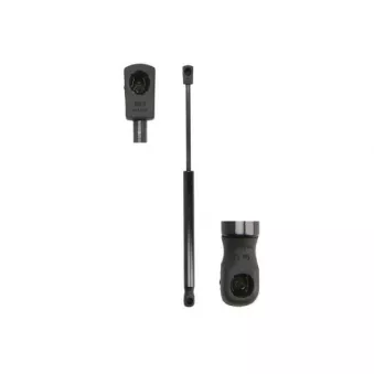 Vérin, capot-moteur MAGNUM TECHNOLOGY