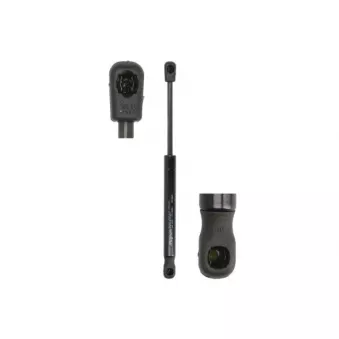 Vérin de hayon, de coffre MAGNUM TECHNOLOGY