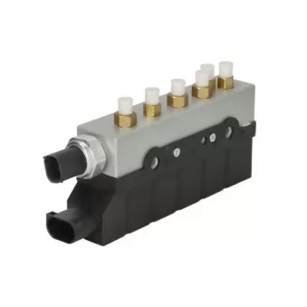 Valve, système d'air comprimé MAGNUM TECHNOLOGY