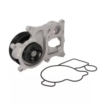 Pompe à eau THERMOTEC D1B039TT