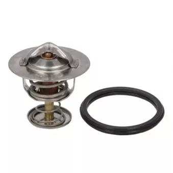 Thermostat d'eau THERMOTEC