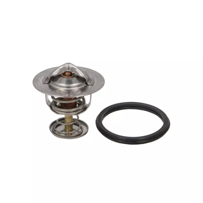 Thermostat d'eau THERMOTEC D23001TT