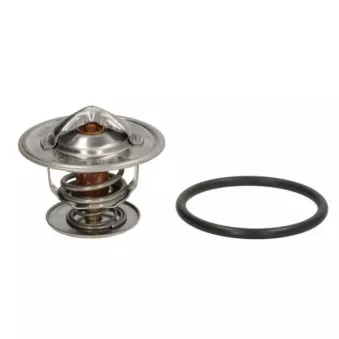 Thermostat d'eau THERMOTEC