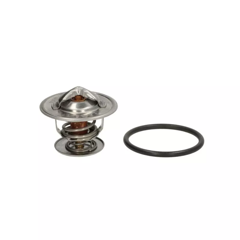 Thermostat d'eau THERMOTEC D2T003TT