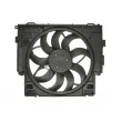 Ventilateur, refroidissement du moteur THERMOTEC D8B019TT - Visuel 1