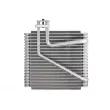 Evaporateur climatisation THERMOTEC KTT150003 - Visuel 1