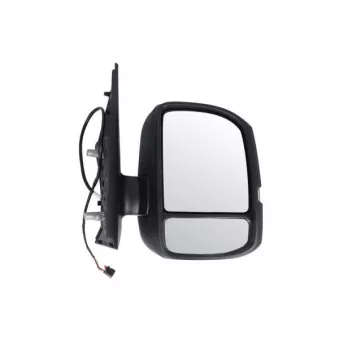 Rétroviseur extérieur BLIC 5402-01-1999313P