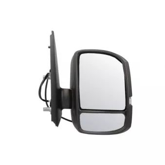 Rétroviseur extérieur BLIC 5402-01-1999315P