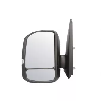 Rétroviseur extérieur BLIC 5402-01-1999318P