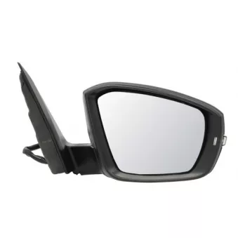 Rétroviseur extérieur BLIC 5402-01-2339317P