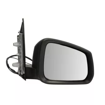 Rétroviseur extérieur BLIC 5402-01-2381331P