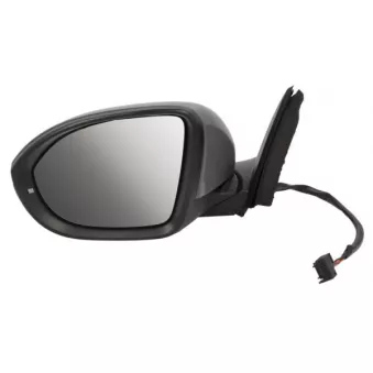 Rétroviseur extérieur BLIC 5402-01-2542310P