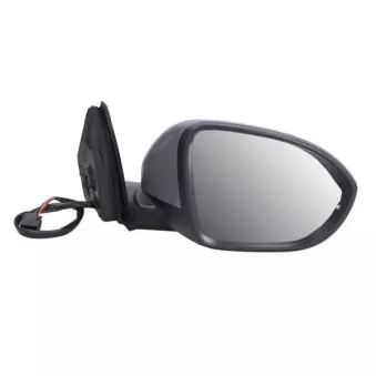 Rétroviseur extérieur BLIC 5402-01-2542311P