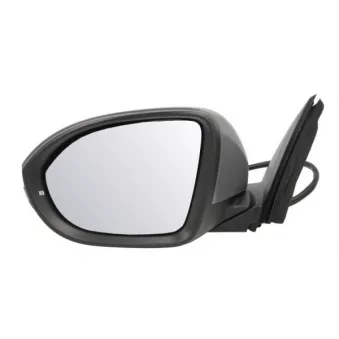 Rétroviseur extérieur BLIC 5402-01-2542312P