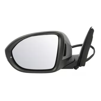 Rétroviseur extérieur BLIC 5402-01-2542314P