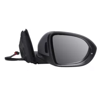 Rétroviseur extérieur BLIC 5402-01-2542315P