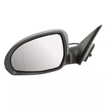 Rétroviseur extérieur BLIC 5402-02-2475310P