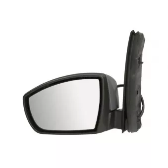 Rétroviseur extérieur BLIC