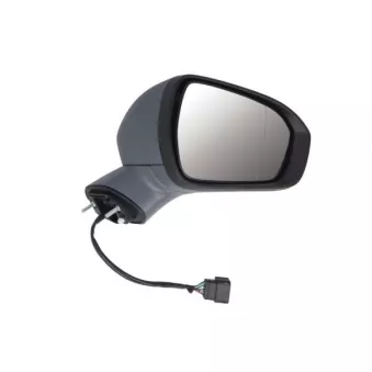 Rétroviseur extérieur BLIC