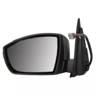 Rétroviseur extérieur BLIC 5402-03-0420310P