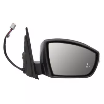 Rétroviseur extérieur BLIC 5402-03-0420311P