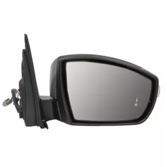 Rétroviseur extérieur BLIC 5402-03-0420313P