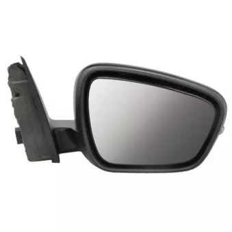 Rétroviseur extérieur BLIC 5402-03-2273317P