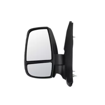 Rétroviseur extérieur BLIC 5402-03-2391316P