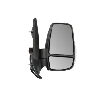 Rétroviseur extérieur BLIC 5402-03-2391317P