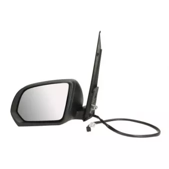 Rétroviseur extérieur BLIC 5402-04-0203880P