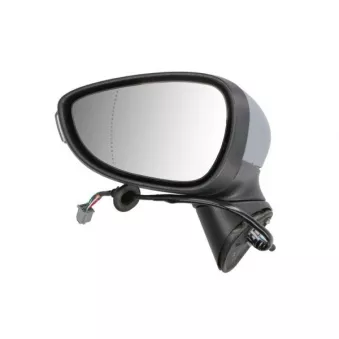 Rétroviseur extérieur BLIC