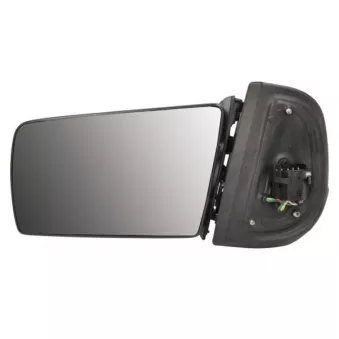 Rétroviseur extérieur BLIC 5402-04-1325532P