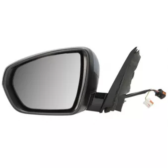 Rétroviseur extérieur BLIC 5402-04-2304312P