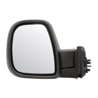 Rétroviseur extérieur BLIC 5402-04-9212985P