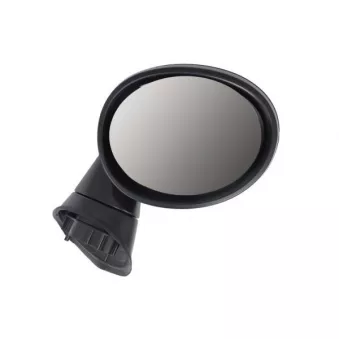 Rétroviseur extérieur BLIC 5402-05-2184311P