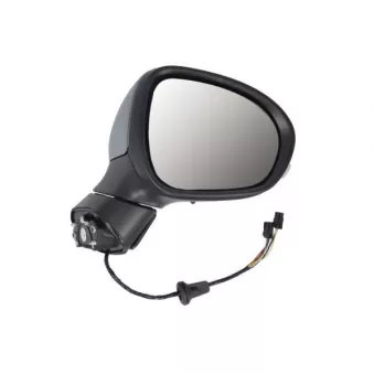 Rétroviseur extérieur BLIC 5402-07-0302313P