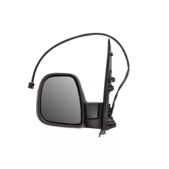 Rétroviseur extérieur BLIC 5402-07-2491310P