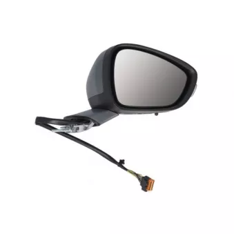 Rétroviseur extérieur BLIC 5402-08-1141315P