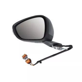 Rétroviseur extérieur BLIC 5402-08-1141316P