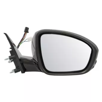 Rétroviseur extérieur BLIC 5402-09-1243313P