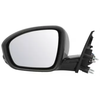 Rétroviseur extérieur BLIC 5402-09-1243314P