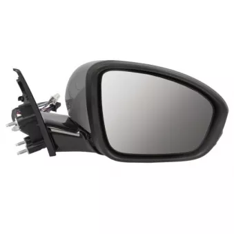 Rétroviseur extérieur BLIC 5402-09-1243319P