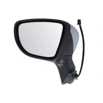 Rétroviseur extérieur BLIC 5402-09-1922310P