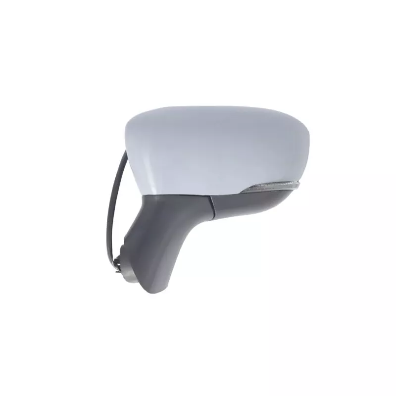 Rétroviseur extérieur BLIC 5402-09-1922310P - Visuel 1