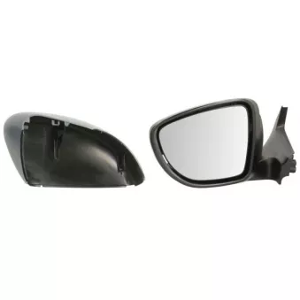 Rétroviseur extérieur BLIC 5402-09-2333314P