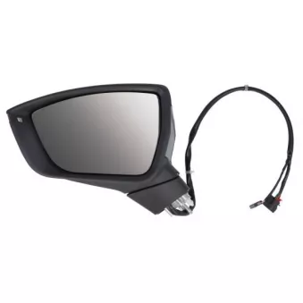 Rétroviseur extérieur BLIC 5402-10-1281316P