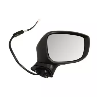 Rétroviseur extérieur BLIC 5402-14-1906311P