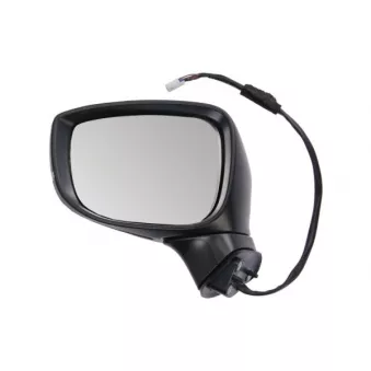 Rétroviseur extérieur BLIC 5402-14-1906312P