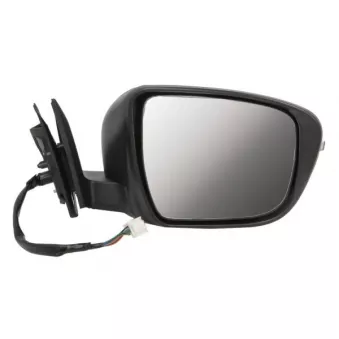 Rétroviseur extérieur BLIC 5402-16-1036317P