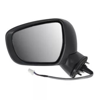 Rétroviseur extérieur BLIC 5402-18-2002312P